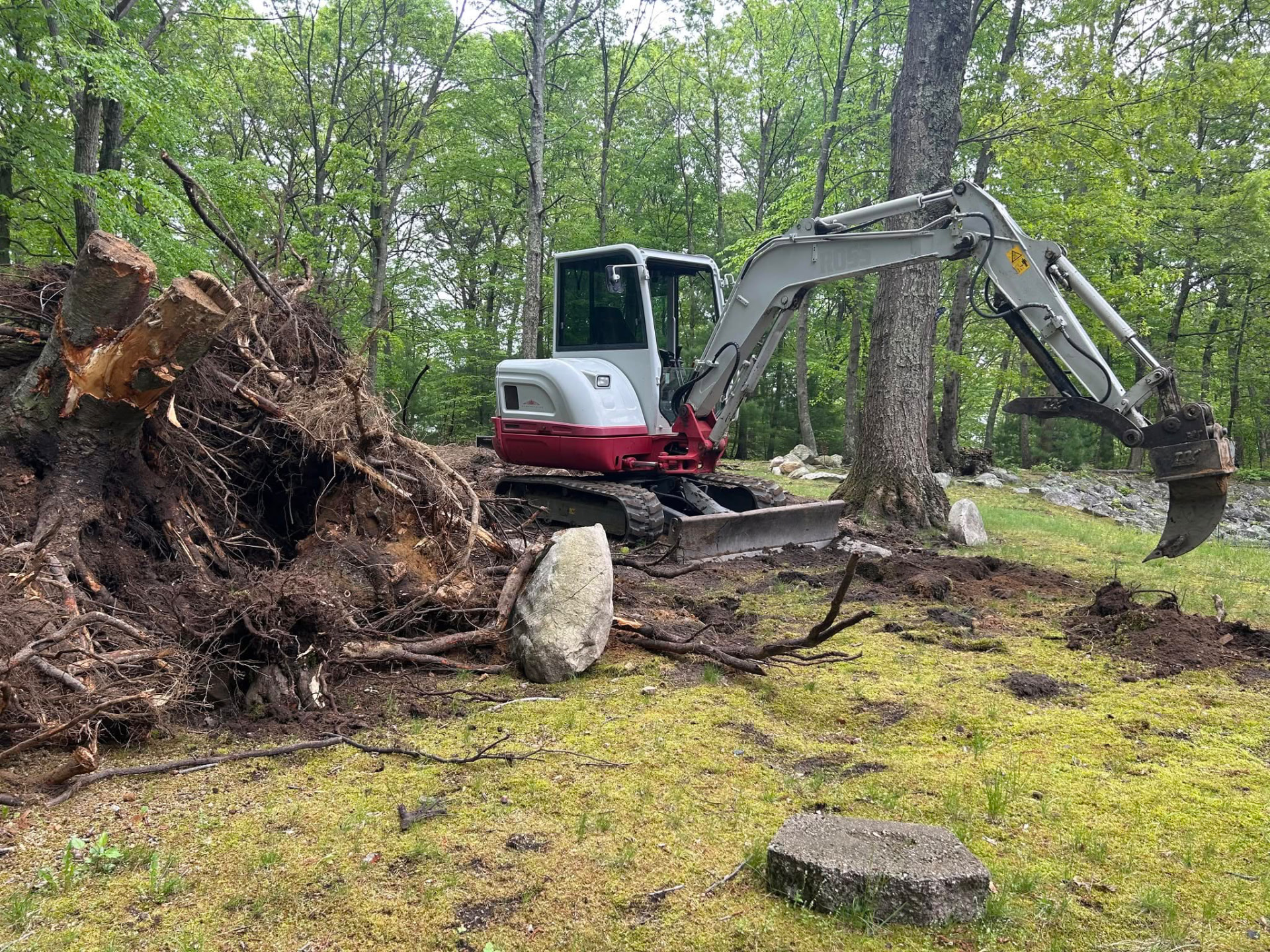 A&M Site Services excavator clearing a tree stump and brush from a wooded property